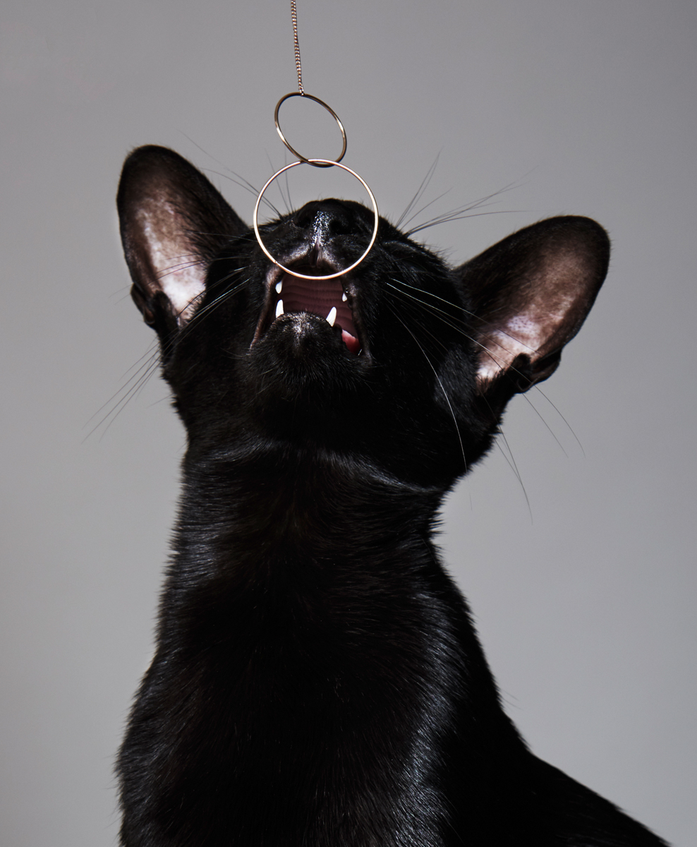 PussPuss_M13_003_1